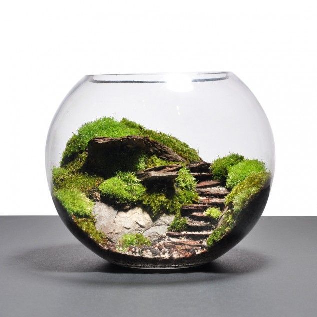 Terrariums