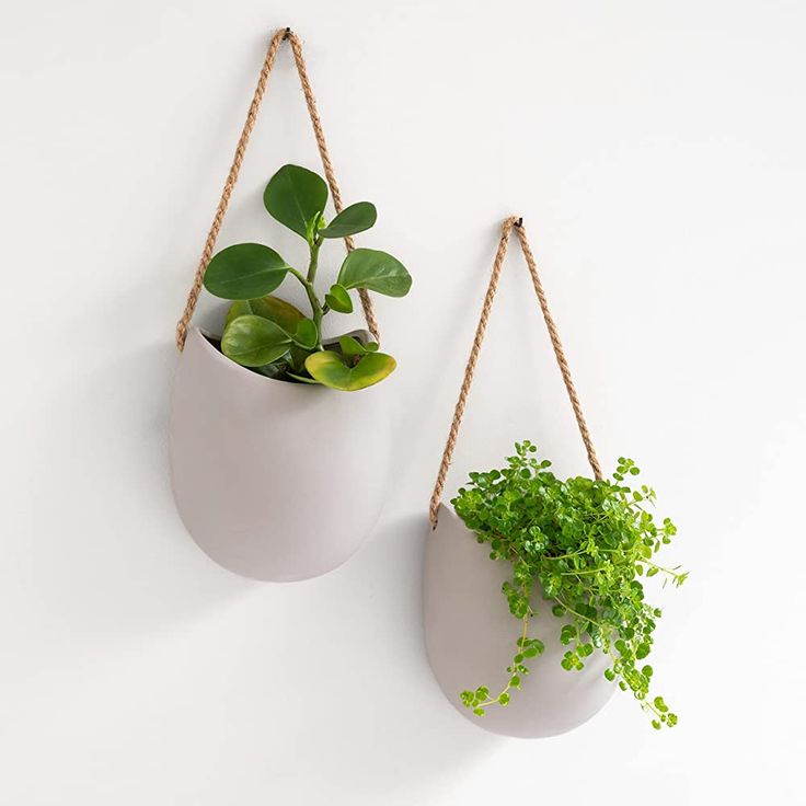 Hanging planters
