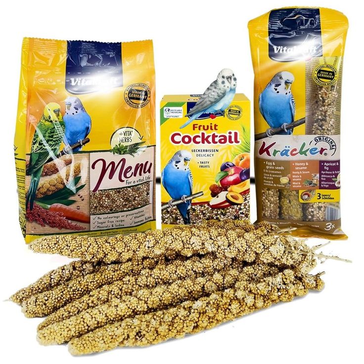 Bird Food & Treats